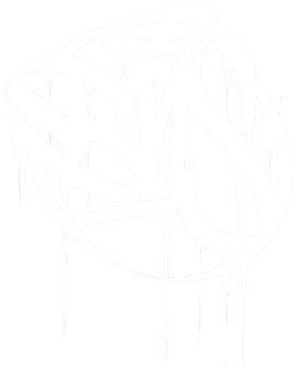 BNS_Logo
